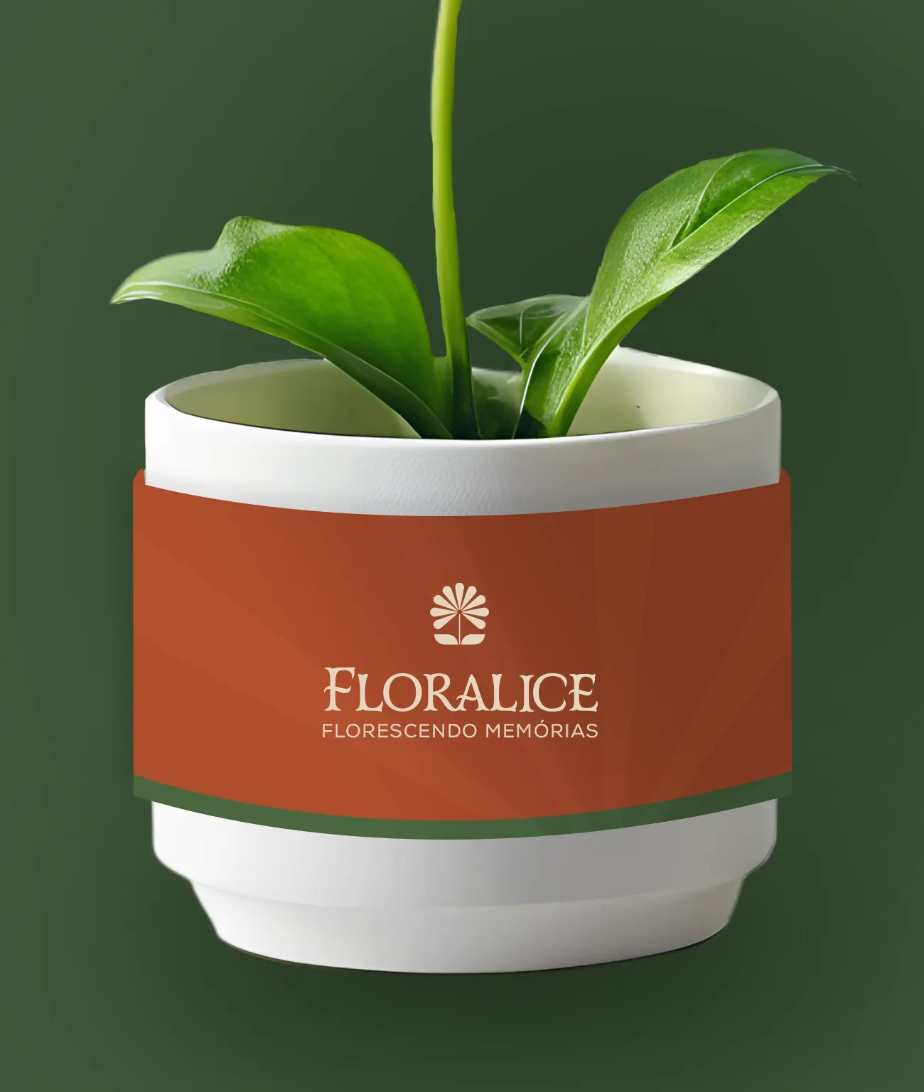Muda de folhas largas num vaso Floralice